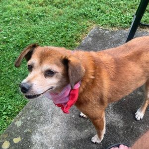 Meet your Posher, Brian